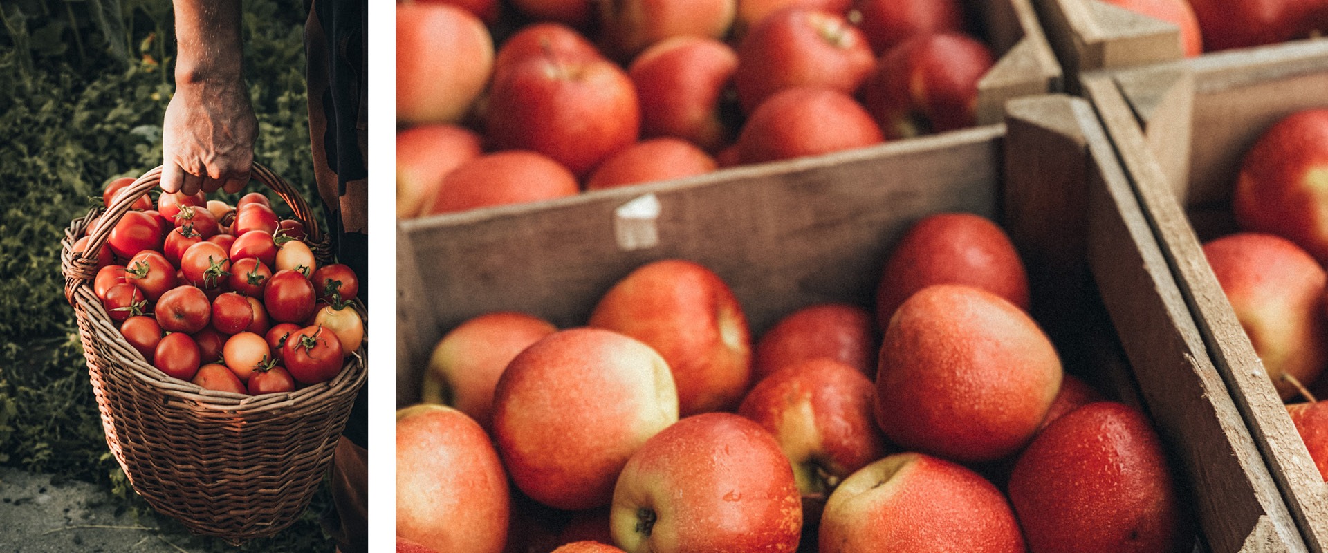 Two pictures of apples in a crate and a person holding a basket at Eggenhof.